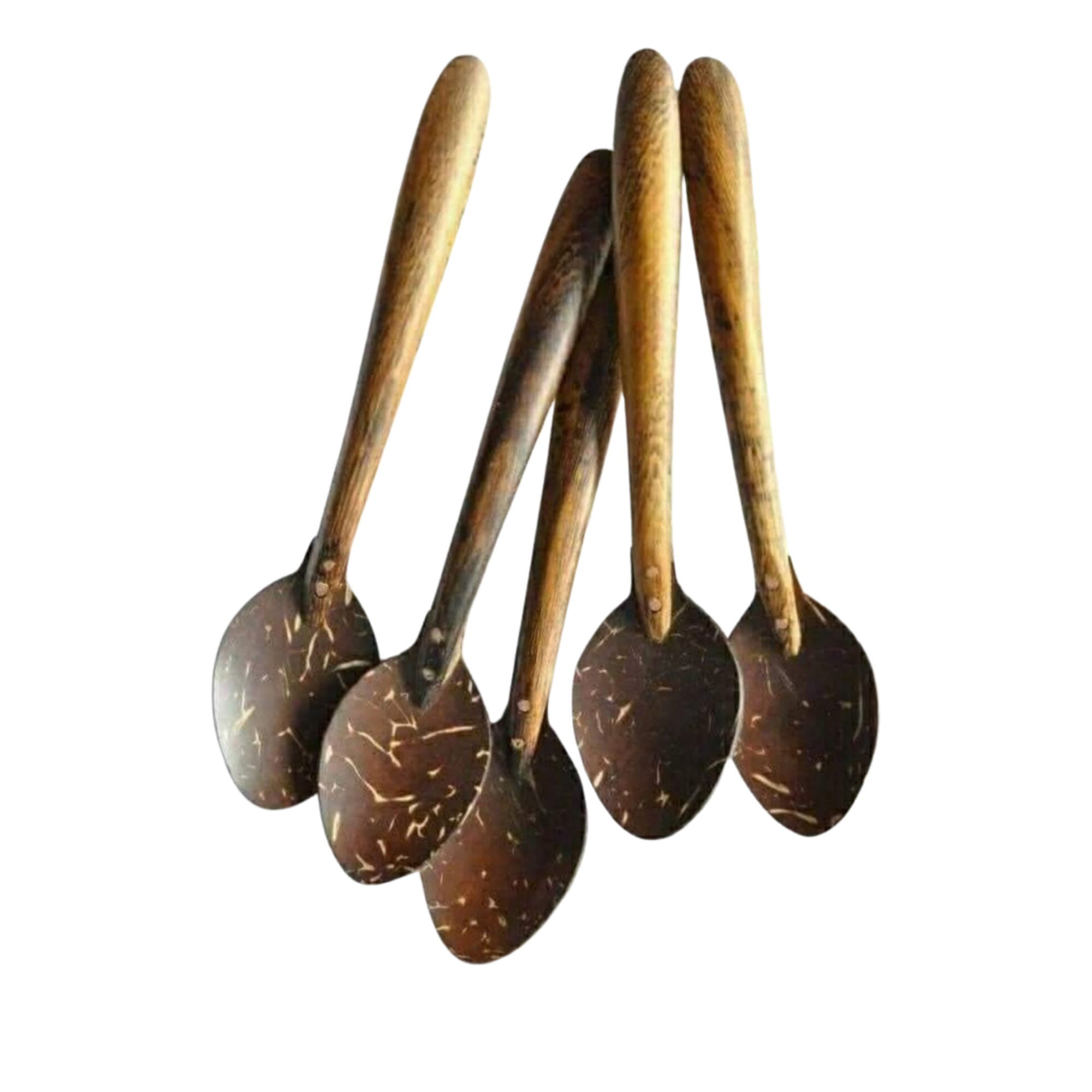 Coconut Spoons - Image 3