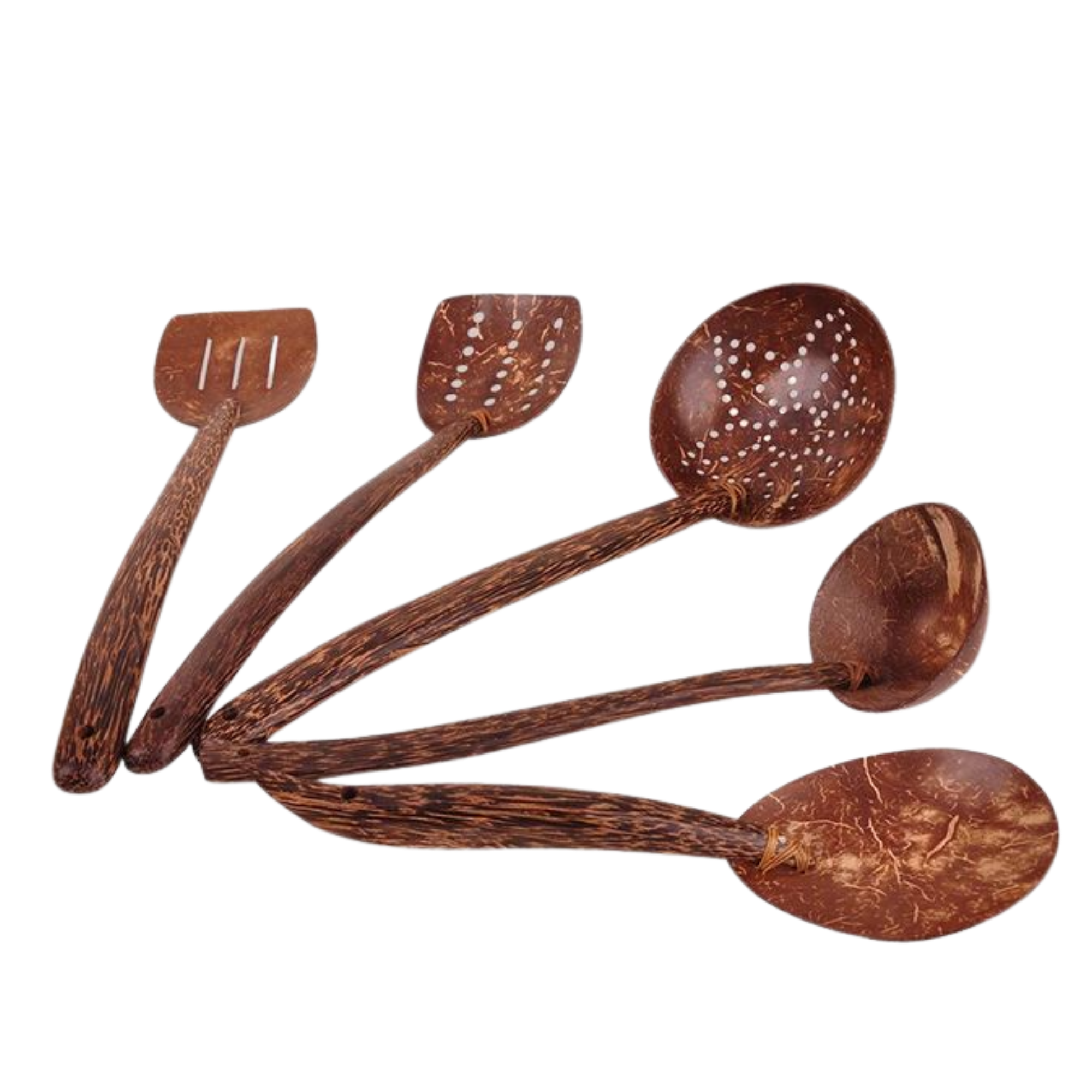 Coconut Spoons - Image 5