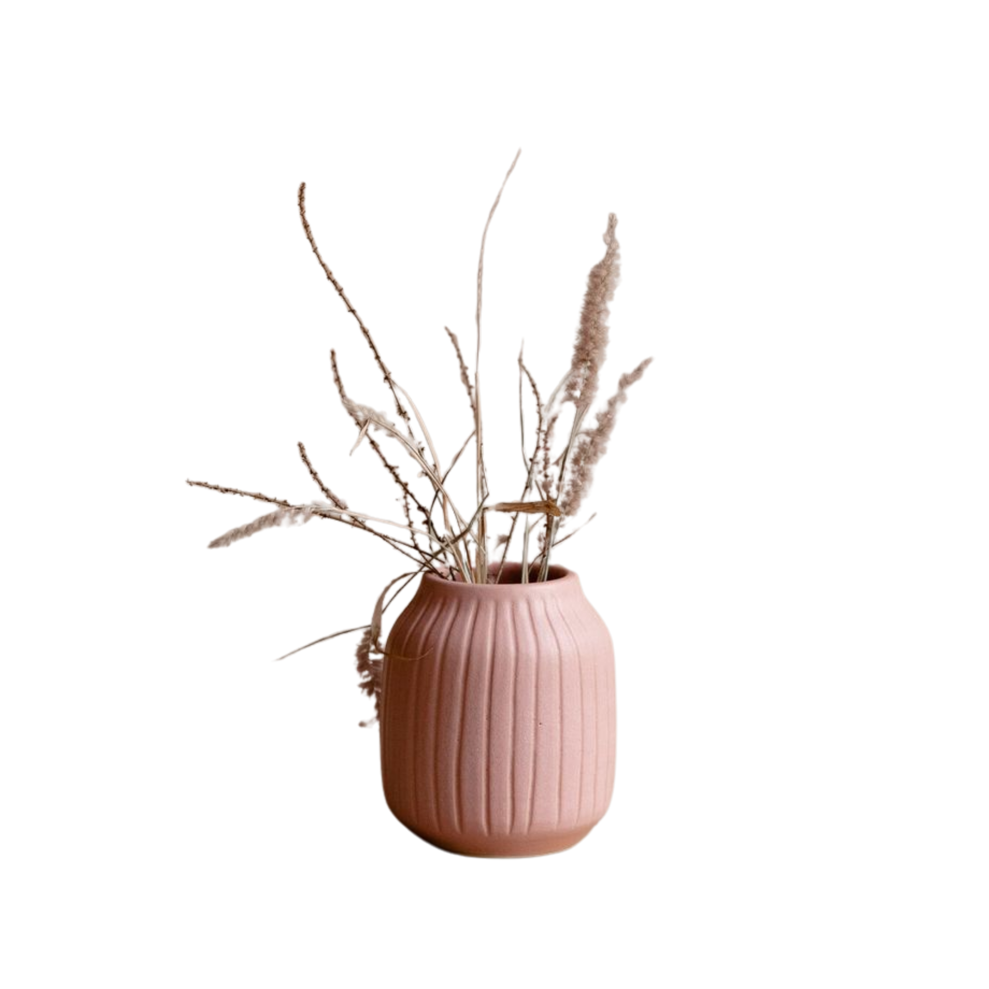 Home and Garden - Image 3