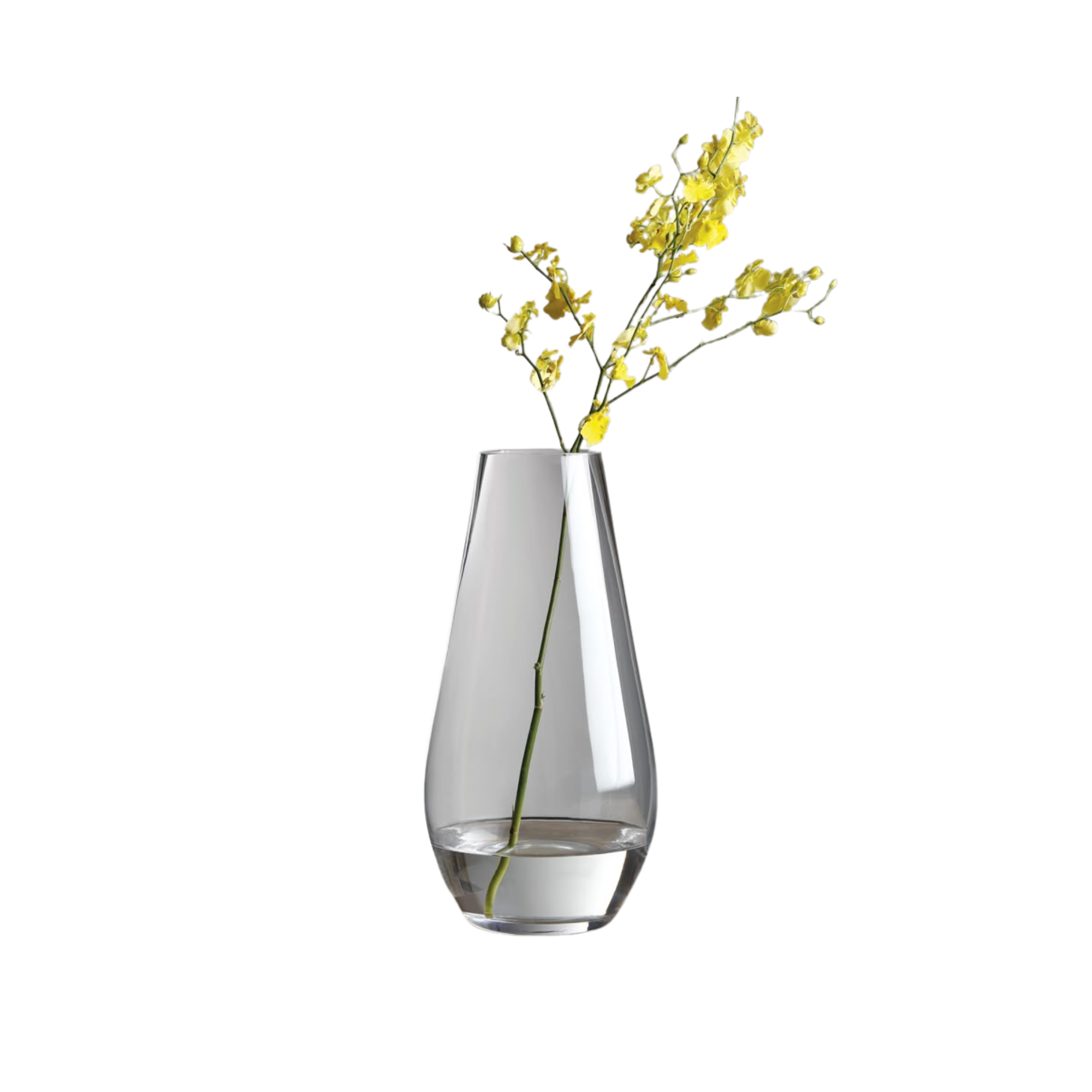 Home and Garden - Image 15